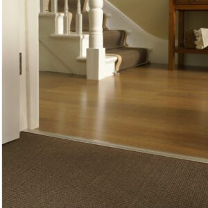 Floor edging carpet to laminate