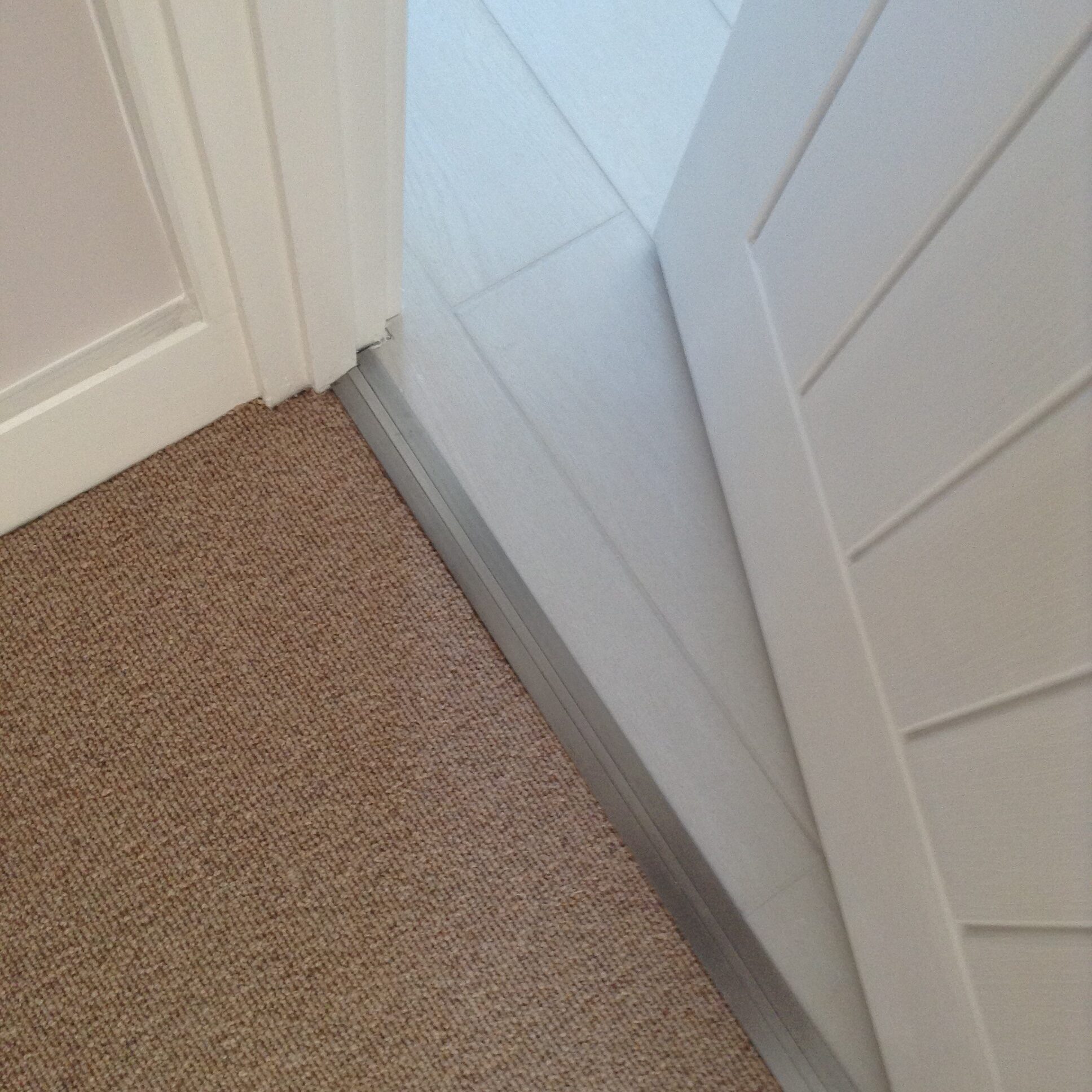 Door bar joining beige carpet to cream carpet with panelled door